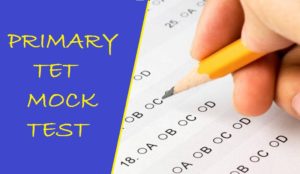 Primary TET Mock Test